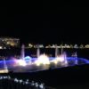 17年11月25日（土）浜松フラワーパーク　イルミネーション点灯式　－　静岡県浜松市